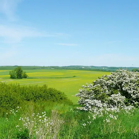 Appartamento Ferienresidenz Zwei Bodden Ferienwohnung 1-4